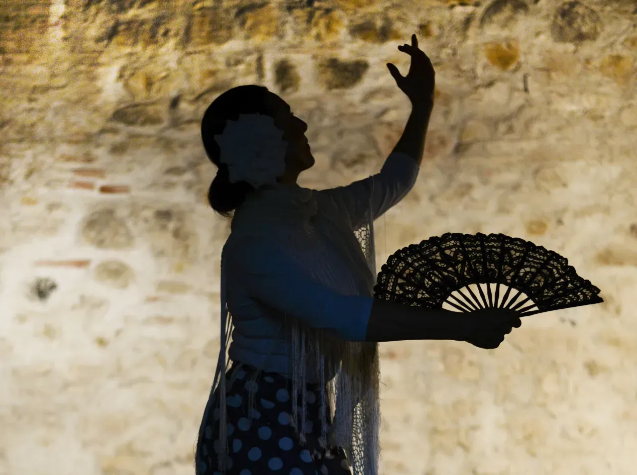 Espectáculo Flamenco La Cueva de Lola