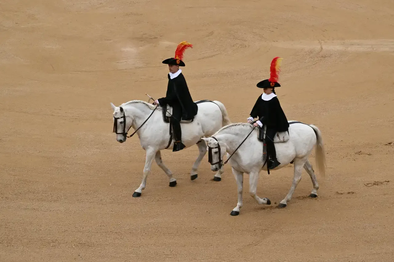 Spectacle de l’École espagnole d’équitation