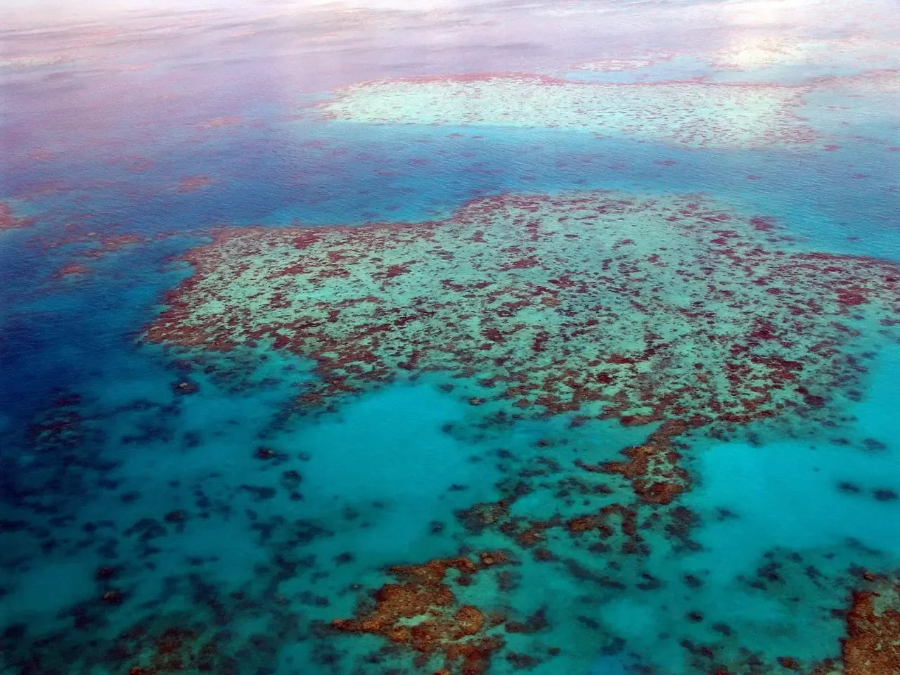 Coral gardens and turquoise shallows in the Great Barrier Reef seen from the air