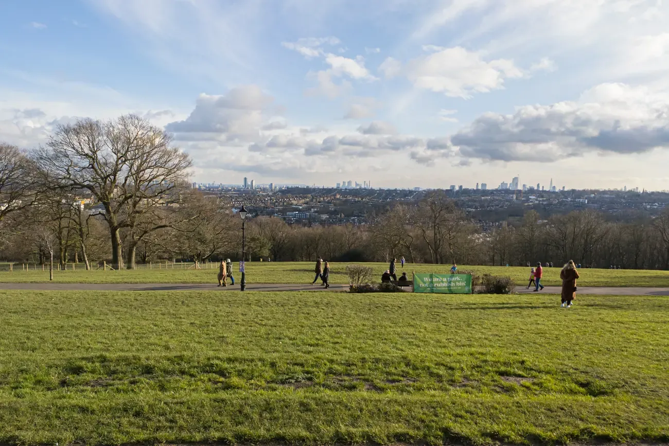 Walkers on the grass of Alexandra Park with the distant London skyline to the south east