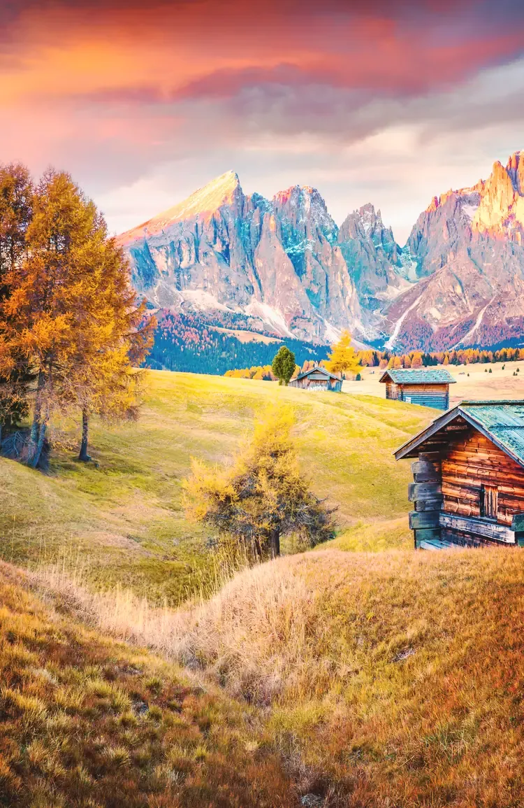 Autumn larches and mountain huts on the Alpe di Siusi in the Dolomites, Italy