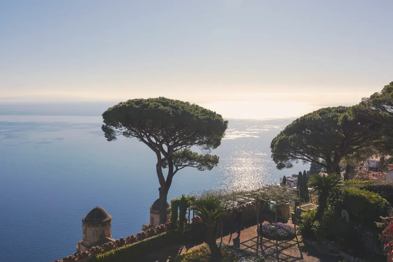 Amalfi Coast view framed by pine trees against the sea