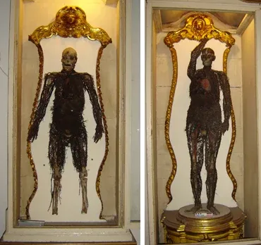 The Anatomical Machines