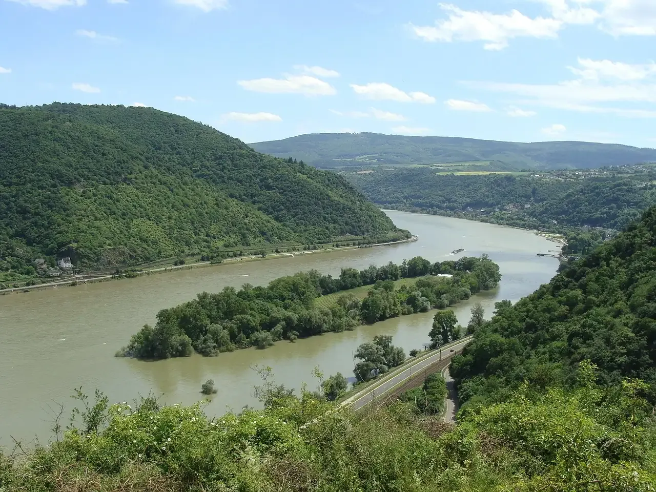 The wooded island of Bacharacher Werth in the Rhine near Bacharach