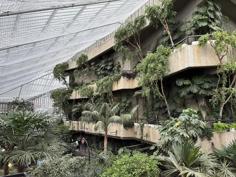Tropical plants growing over the concrete terraces of the Brutalist Barbican Conservatory glasshouse in London