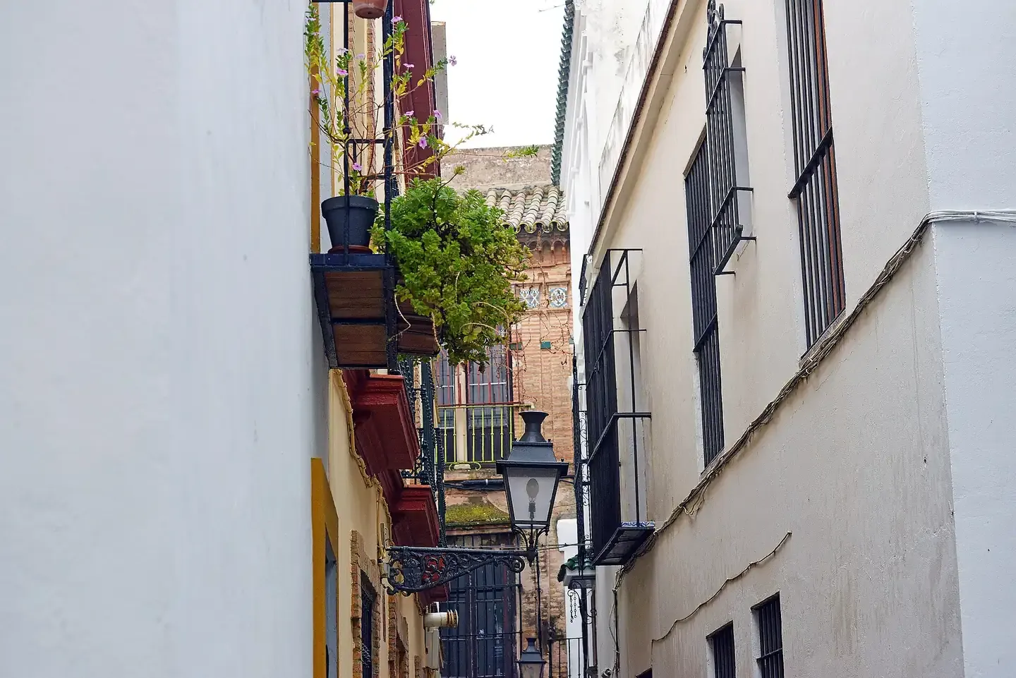 A narrow whitewashed lane in the Barrio de Santa Cruz, the old Jewish quarter of Seville