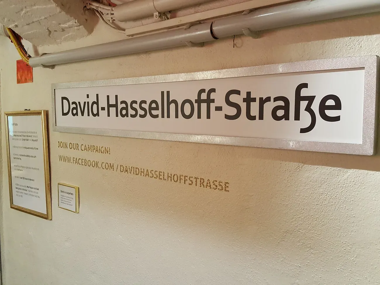 Mock David-Hasselhoff-Strasse street sign displayed inside the David Hasselhoff Museum in Berlin