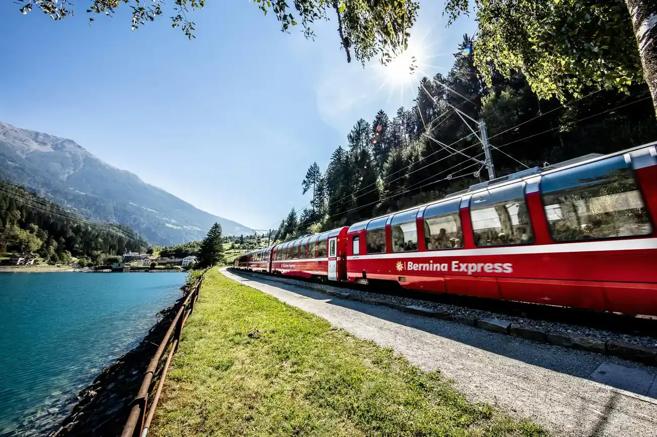 Bernina Express panoramic train running along a lakeshore railway under pine trees