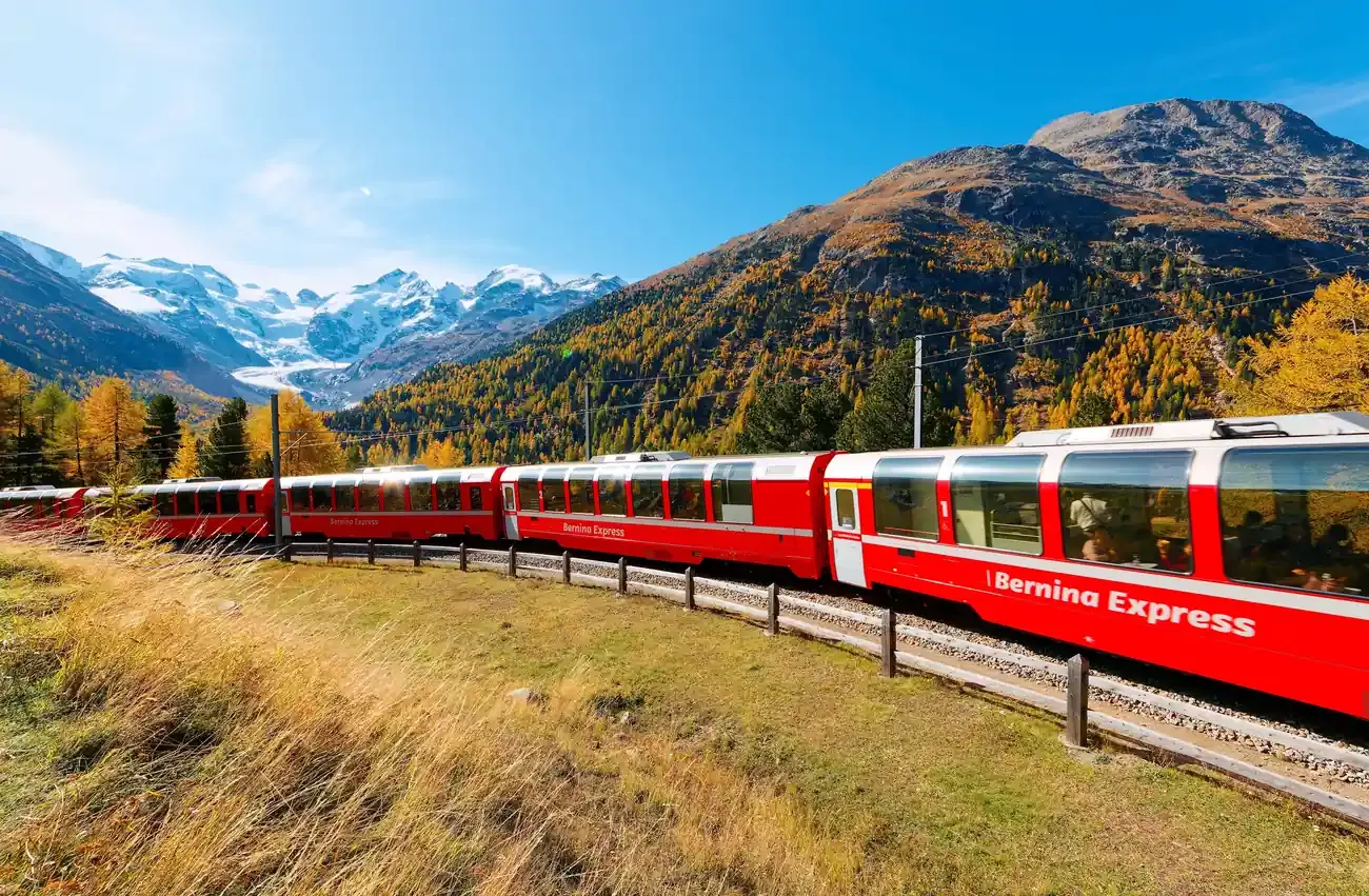 Red Bernina Express panoramic train curving past golden larches with the snow-capped Bernina range behind, Switzerland