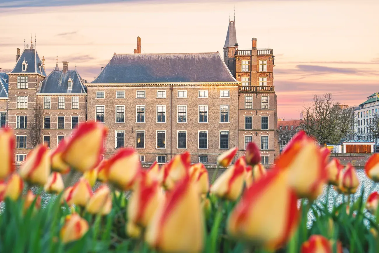 The Binnenhof palace with tulips in bloom at sunset, The Hague, Netherlands