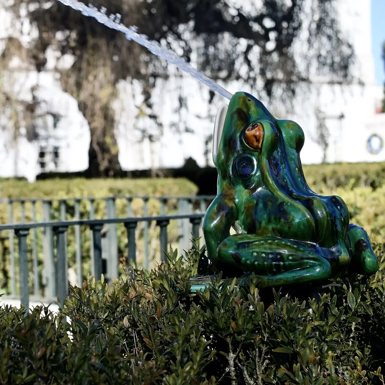 A giant glazed ceramic frog by Rafael Bordalo Pinheiro spouting water in the garden of the Museu de Lisboa at Palacio Pimenta