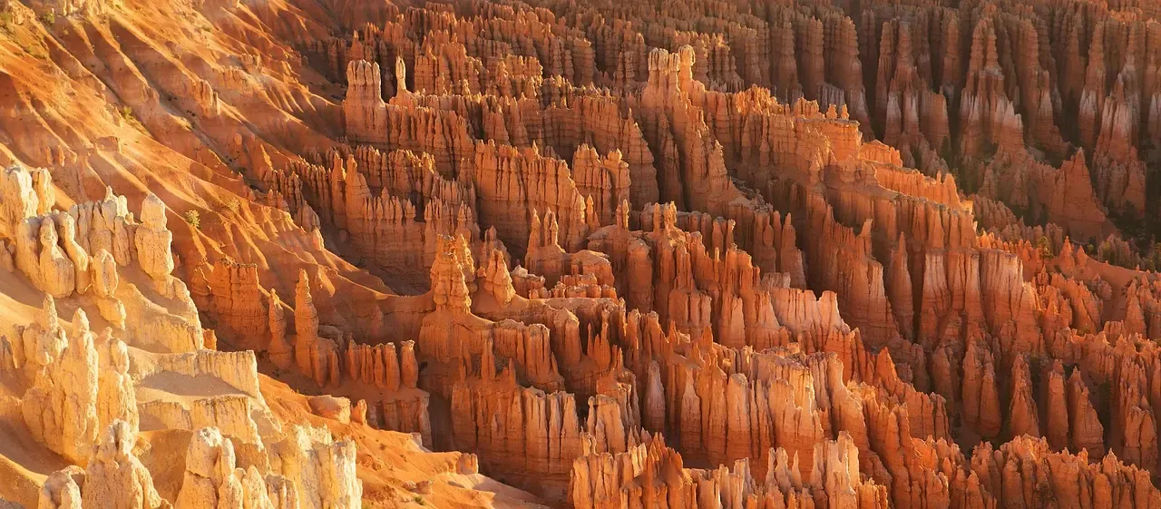 Rows of orange hoodoos in the Bryce Canyon amphitheatre in Utah