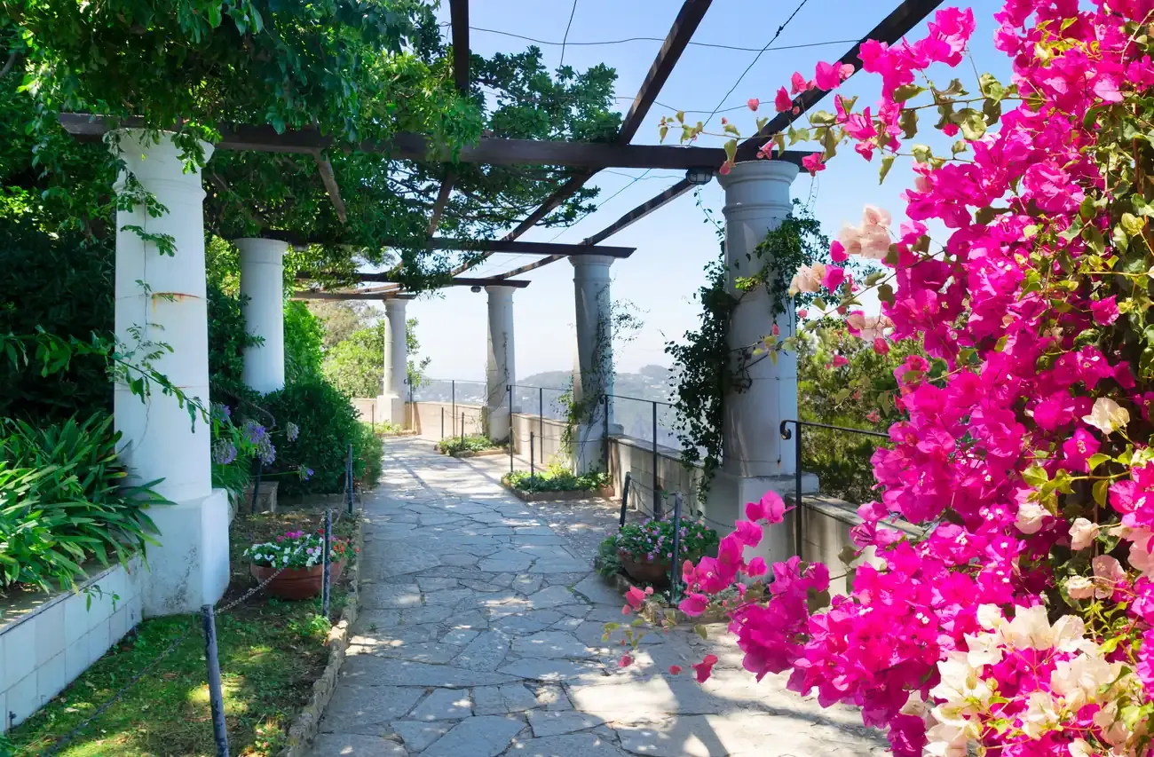 A flower-lined pergola walkway in the Gardens of Augustus on Capri, overlooking the sea