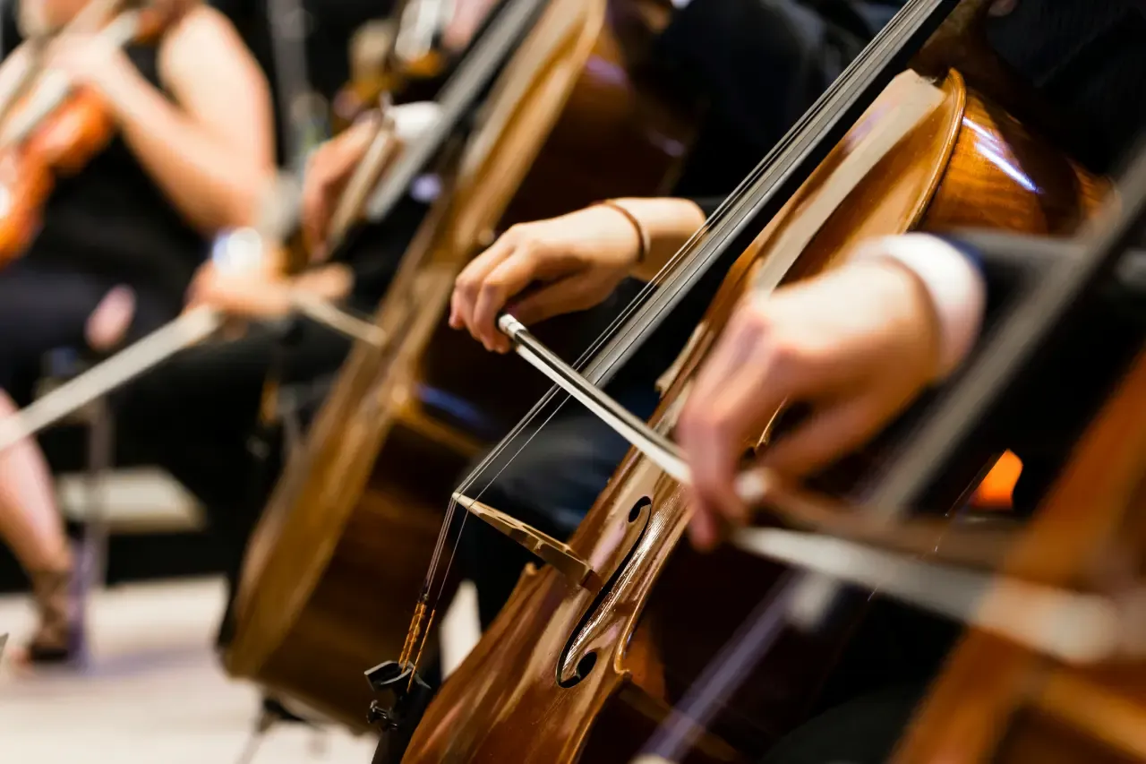 Close up of hands and bows playing cellos