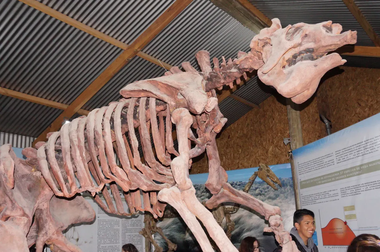 A prehistoric megafauna fossil reconstruction at the Centro de Interpretacion Historica in El Calafate