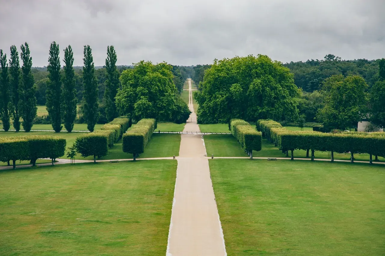 The avenue through the park of Chambord leading to the chateau, France