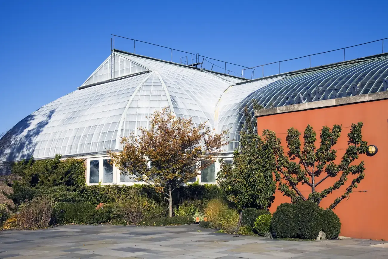 The Garfield Park Conservatory in Chicago