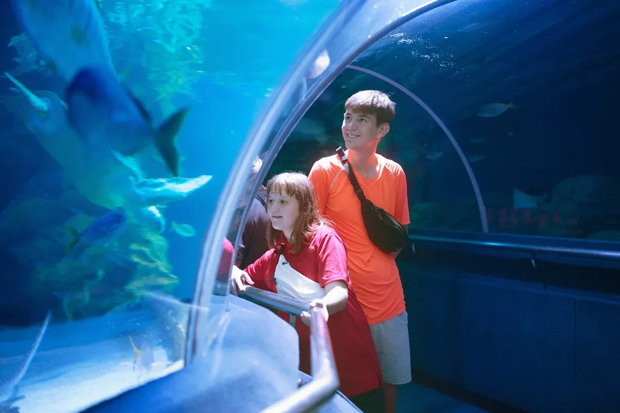 Children at an aquarium