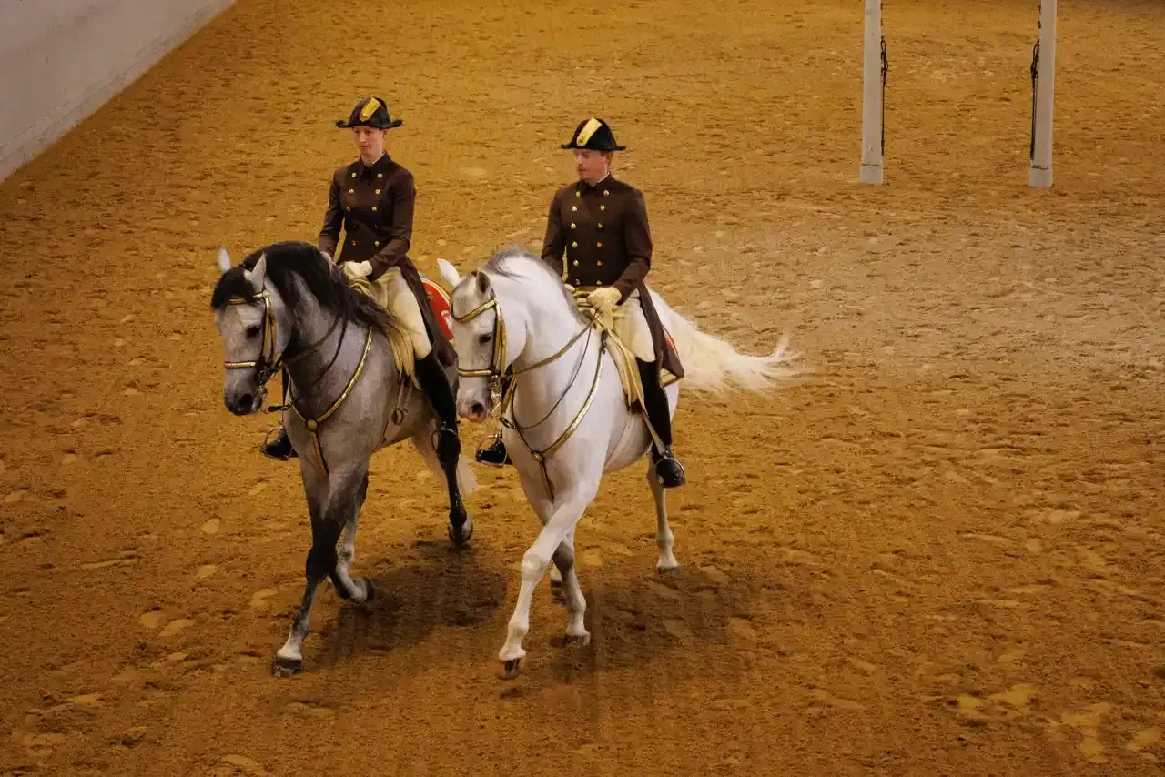 Two riders performing a classical dressage demonstration with Lipizzaner horses in the Baroque riding hall in Vienna