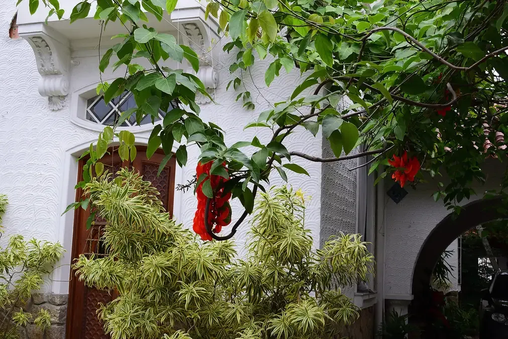 A white colonial mansion and flowering garden in the Santa Teresa neighbourhood, Rio de Janeiro