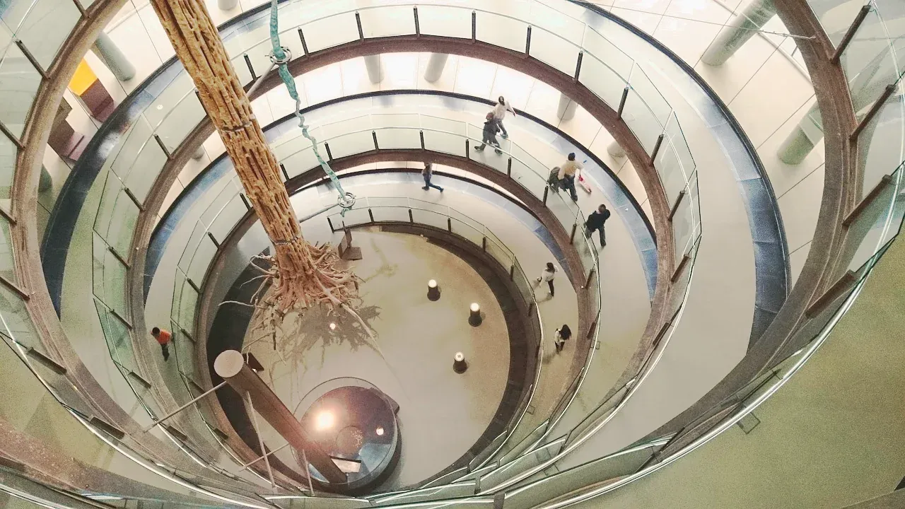 The spiral ramp inside CosmoCaixa Barcelona around the suspended tree