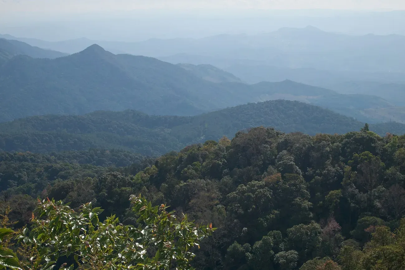 Forested mountain ridges seen from Doi Inthanon National Park, Chiang Mai