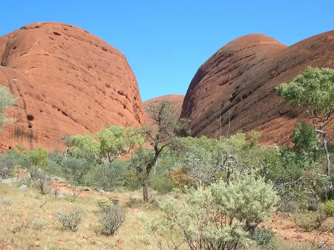 The rounded domes of Kata Tjuta rising from the desert in the Northern Territory