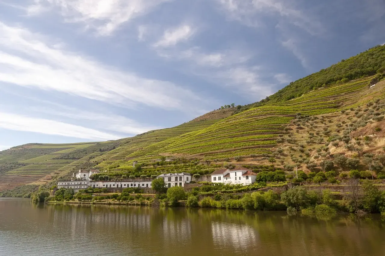 A quinta and its vineyard terraces above the Douro river