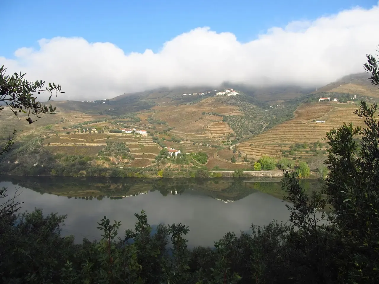 The Douro river below terraced hillsides in northern Portugal