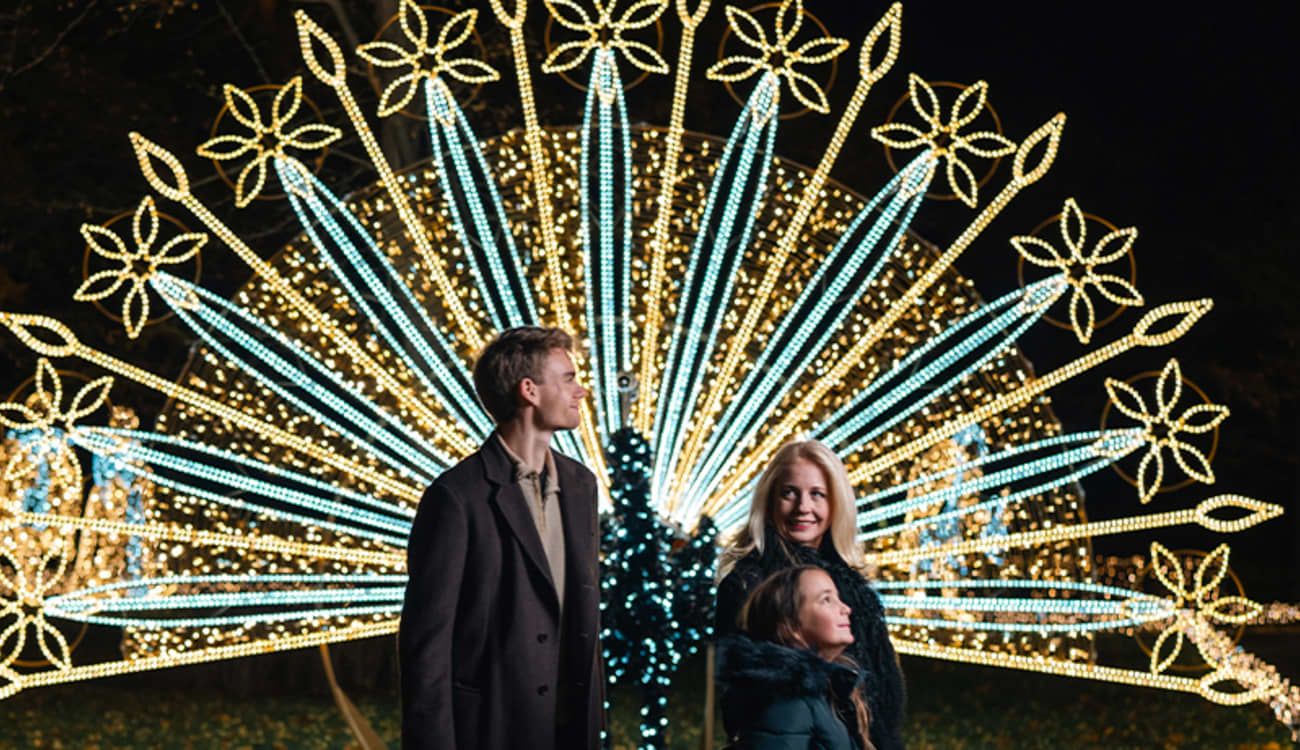 Imperial Lights in Vienna (Fever)