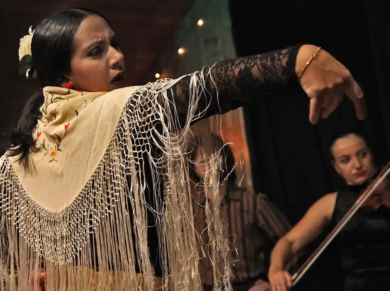 Flamenco dancer