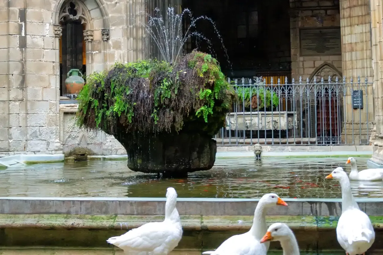 The fountain and courtyard area of Barcelona Cathedral