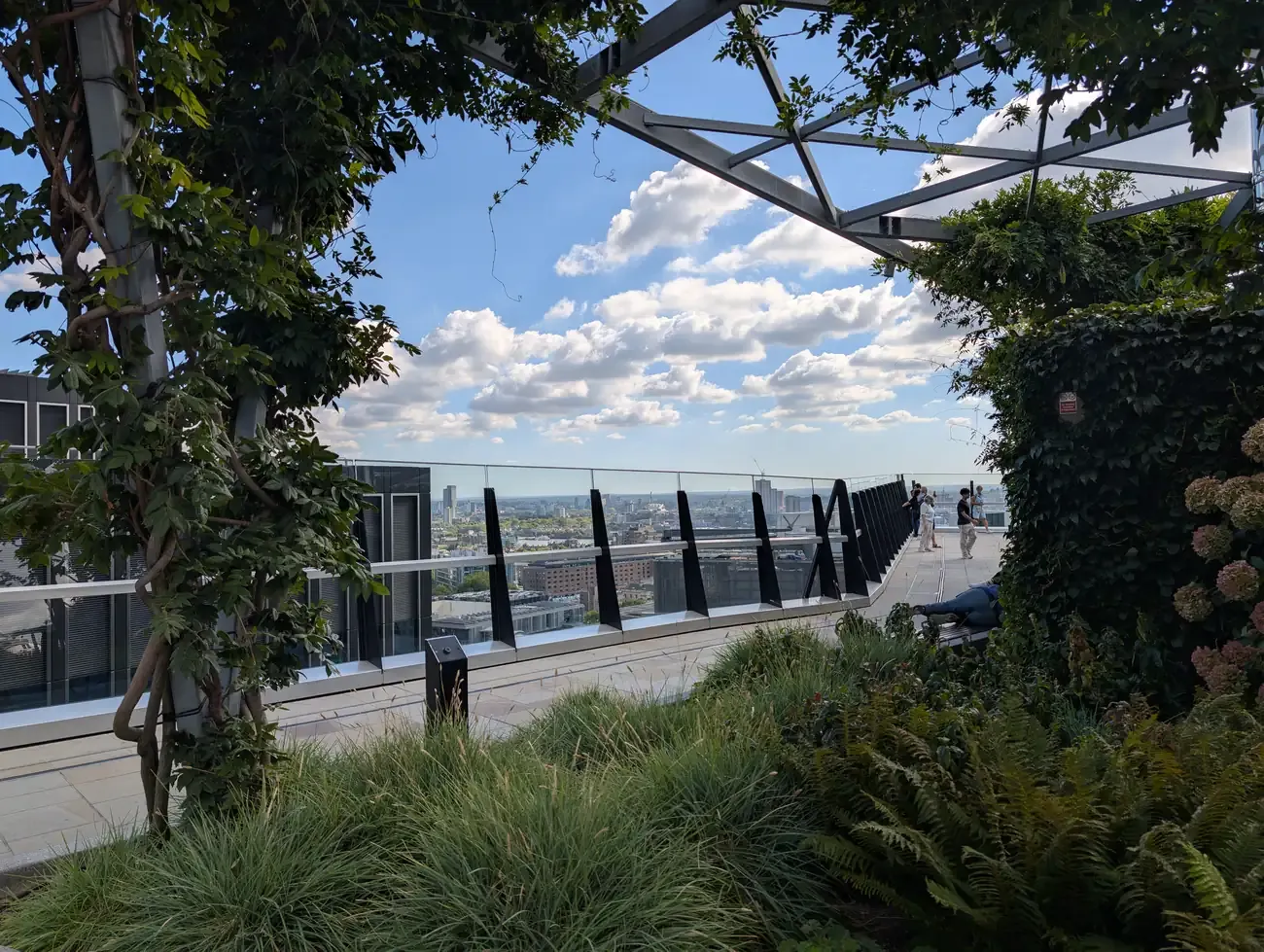 Trees and planting on The Garden at 120 roof terrace, with the City of London beyond the glass balustrade
