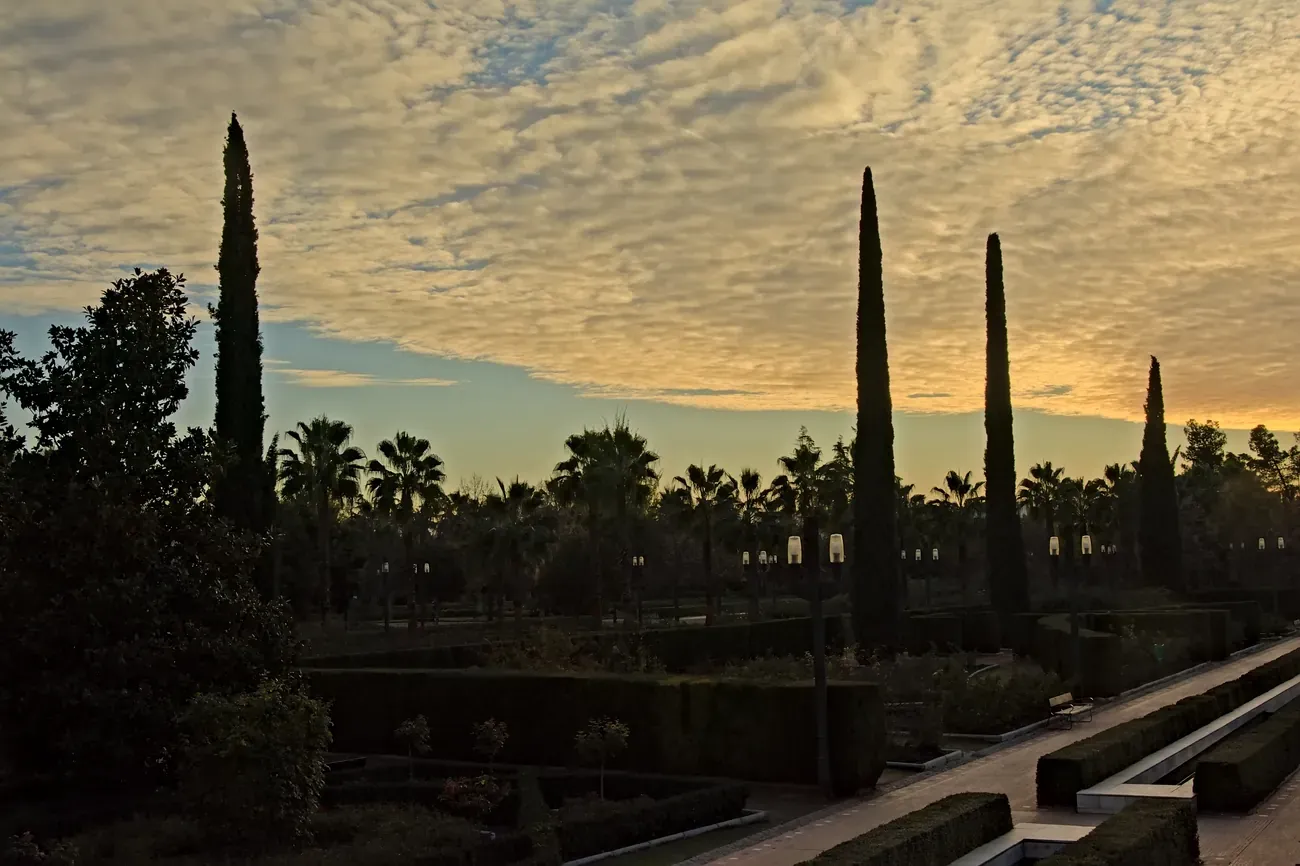 Palms and cypresses at dusk in Federico Garcia Lorca Park, Granada