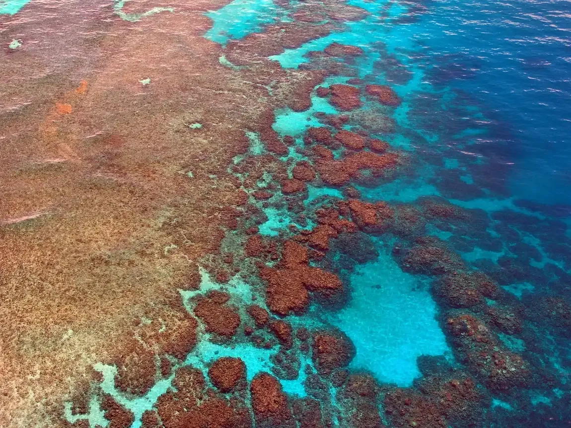Coral formations meeting deep blue water in the Great Barrier Reef off Queensland
