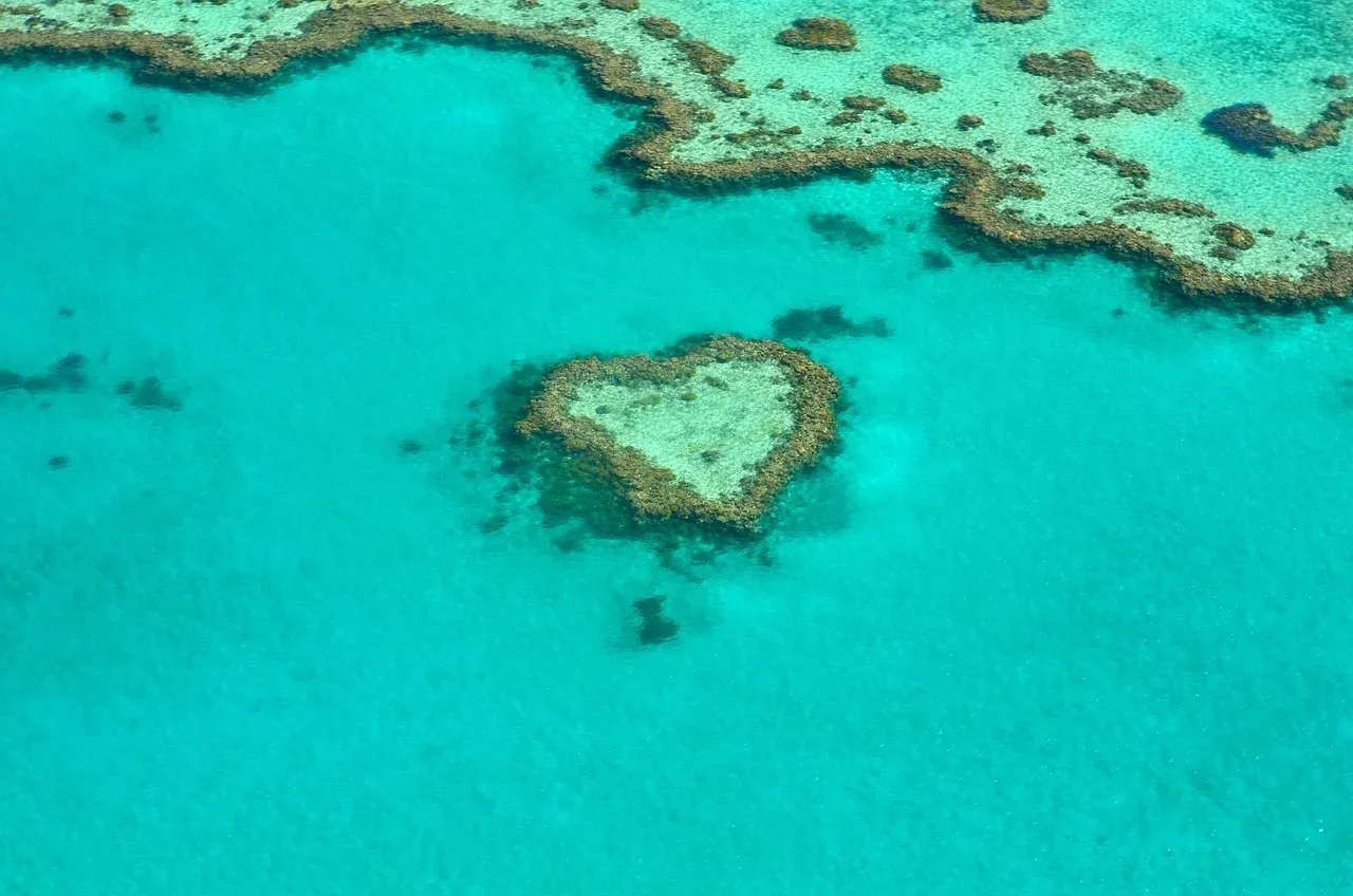 The heart-shaped coral of Heart Reef in the Great Barrier Reef off the Whitsundays