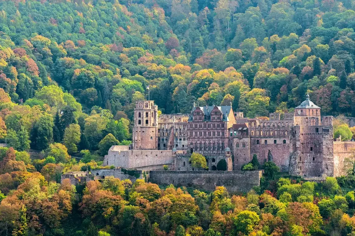 Heidelberg Castle surrounded by autumn woods above the Neckar