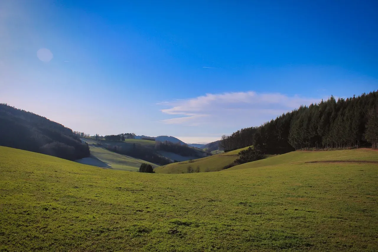 Pasture and wooded ridges of the Black Forest near Freiburg at dusk