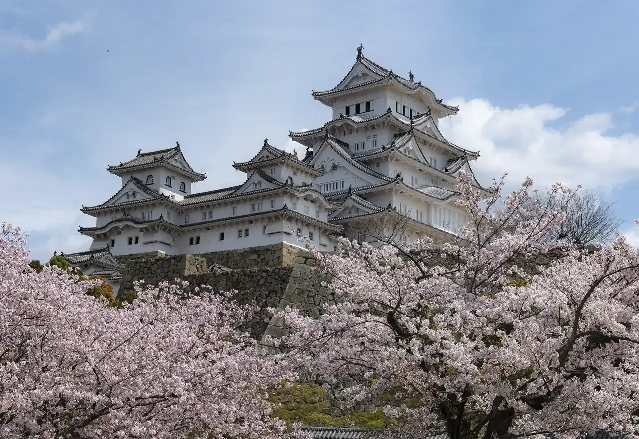 Himeji Castle rising behind cherry blossom in Hyogo prefecture