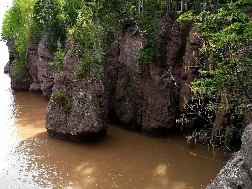 Flowerpot sea stacks standing on the ocean floor at low tide, Hopewell Rocks