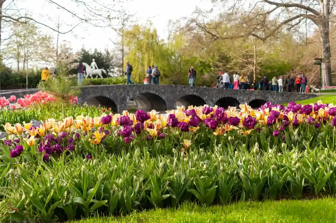 How to get to Keukenhof