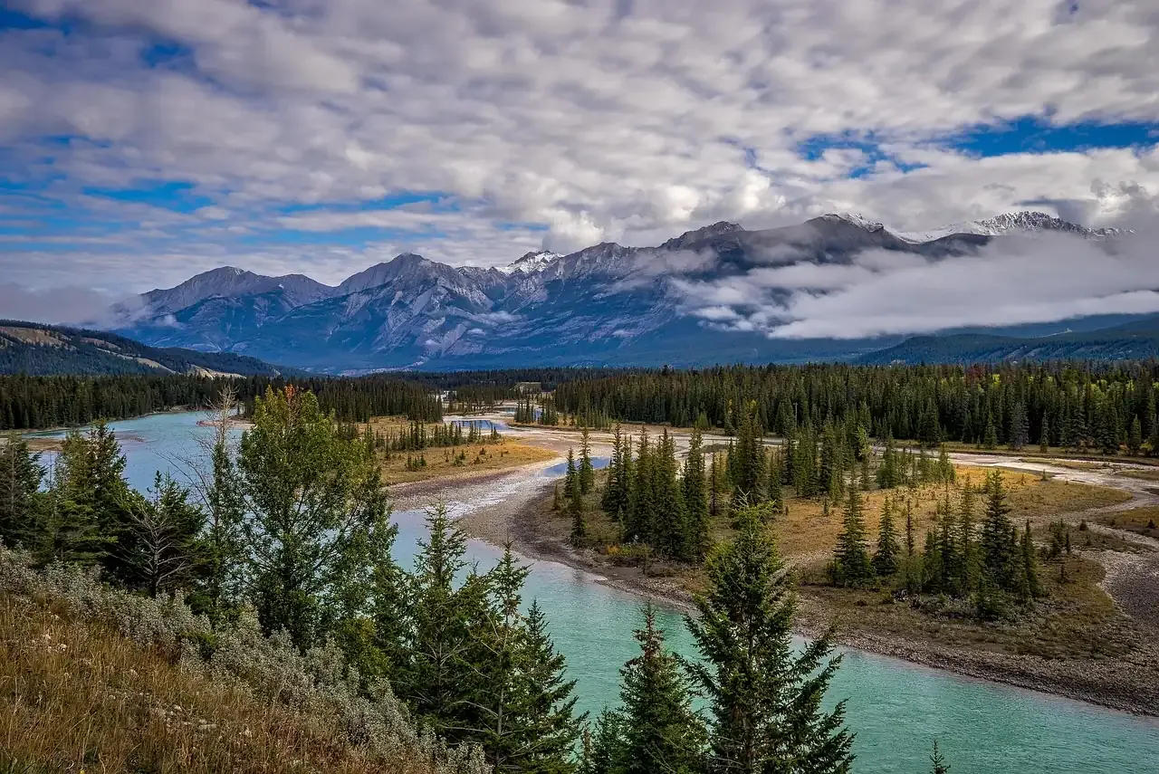 The braided Athabasca River in its valley in Jasper National Park
