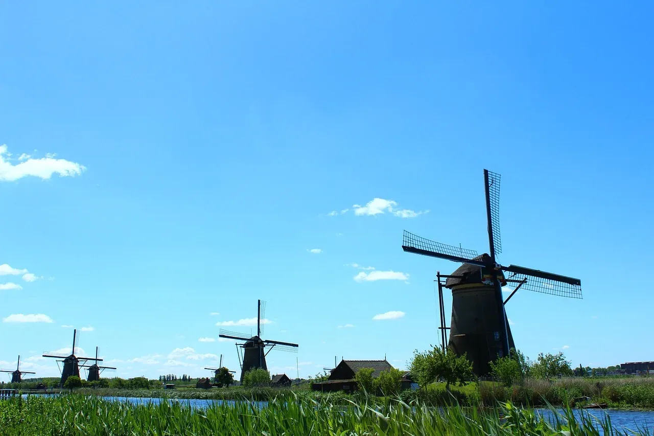 Kinderdijk drainage mills behind reed banks on a clear spring day