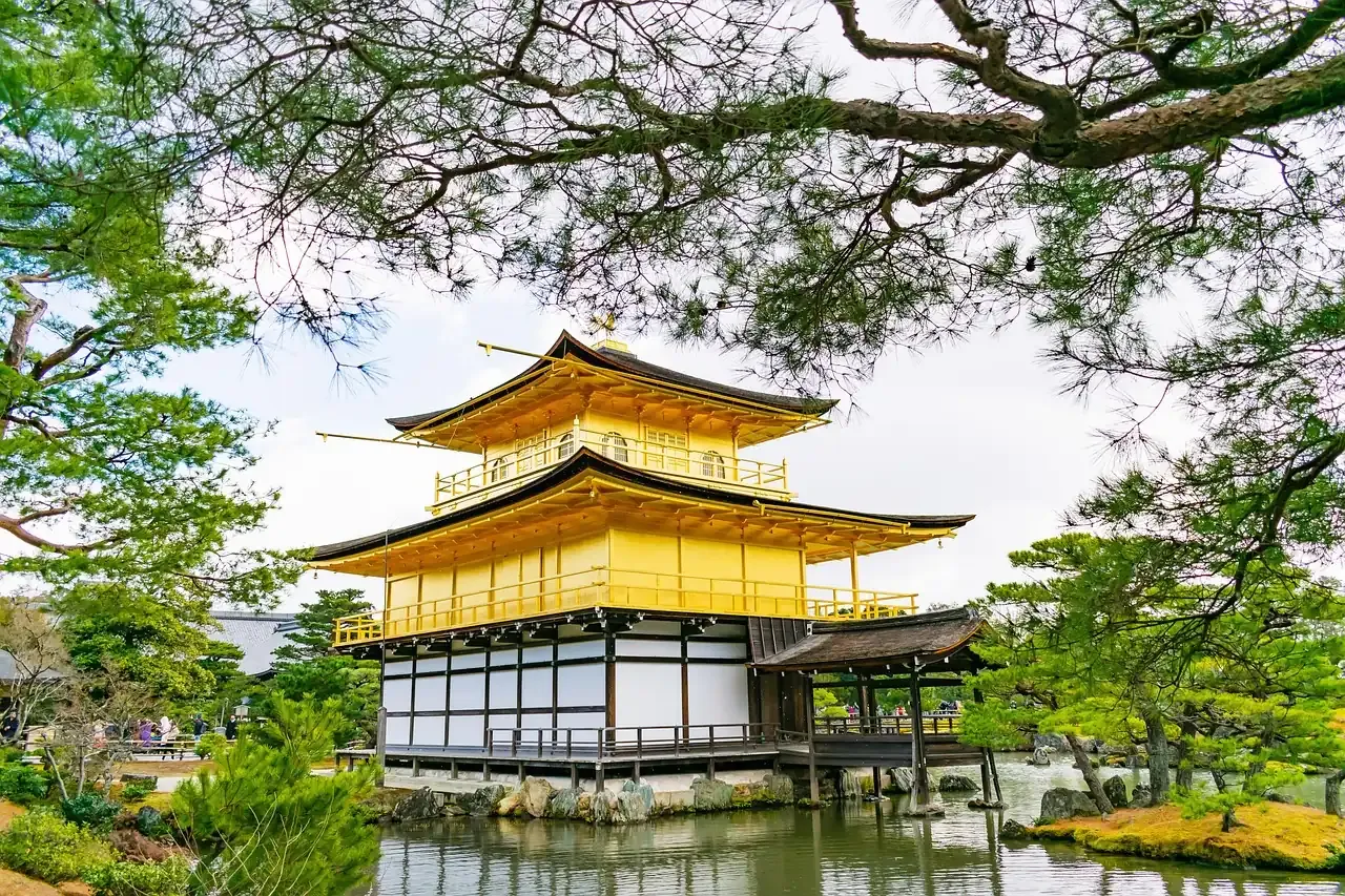 The gold-leafed pavilion of Kinkaku-ji framed by pine branches in Kyoto