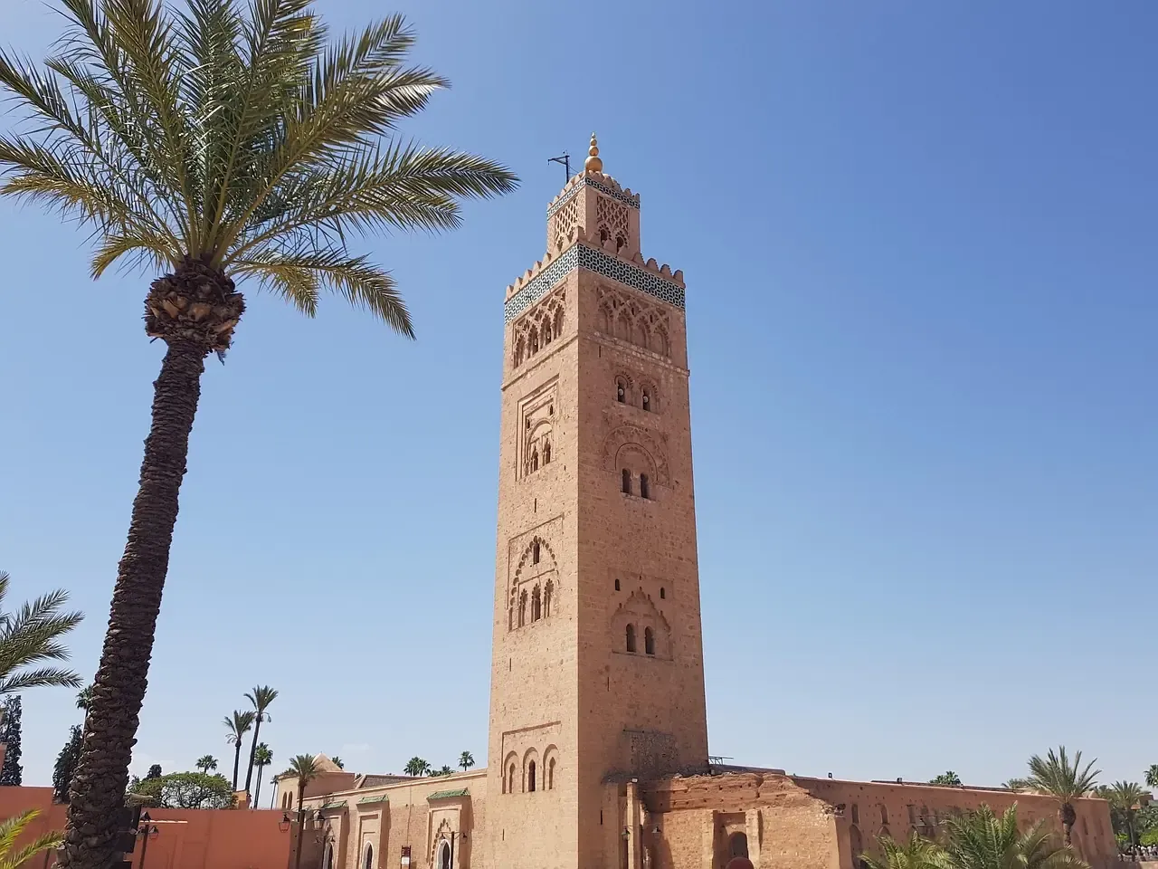 The Koutoubia minaret rising behind a palm tree in Marrakech