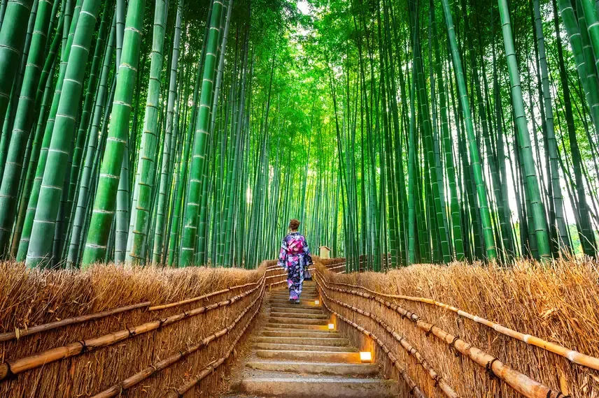 Woman in a kimono walking the stepped path through the towering bamboo of the Arashiyama grove in Kyoto