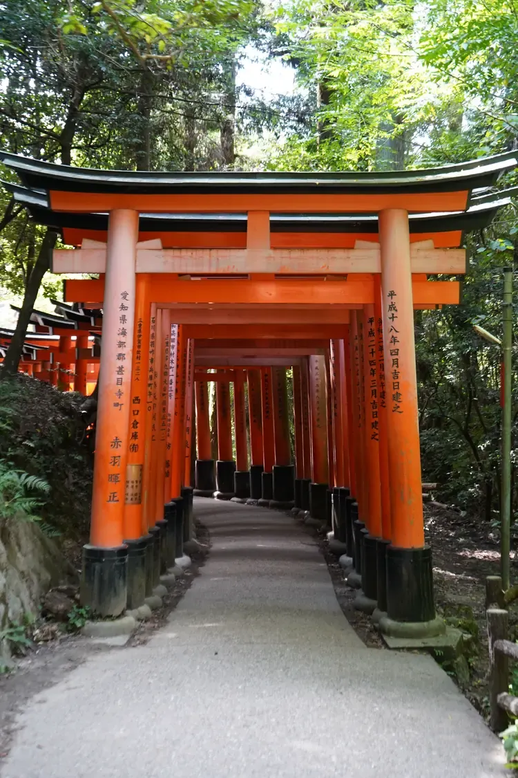 A vermilion torii gate over a forest path at Fushimi Inari-taisha shrine in Kyoto