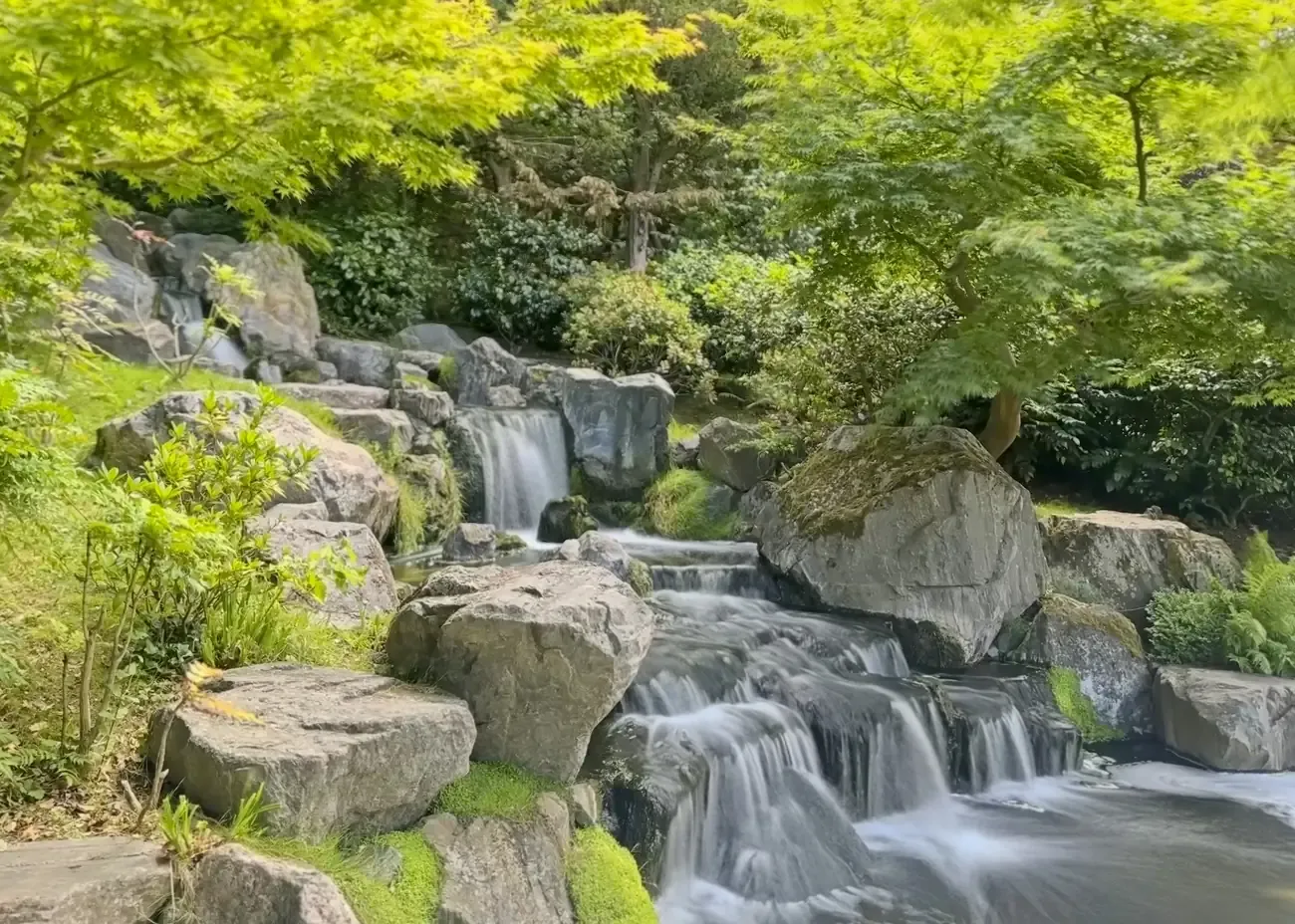 Waterfall cascading over mossy rocks beneath Japanese maples at the Kyoto Garden in Holland Park, London