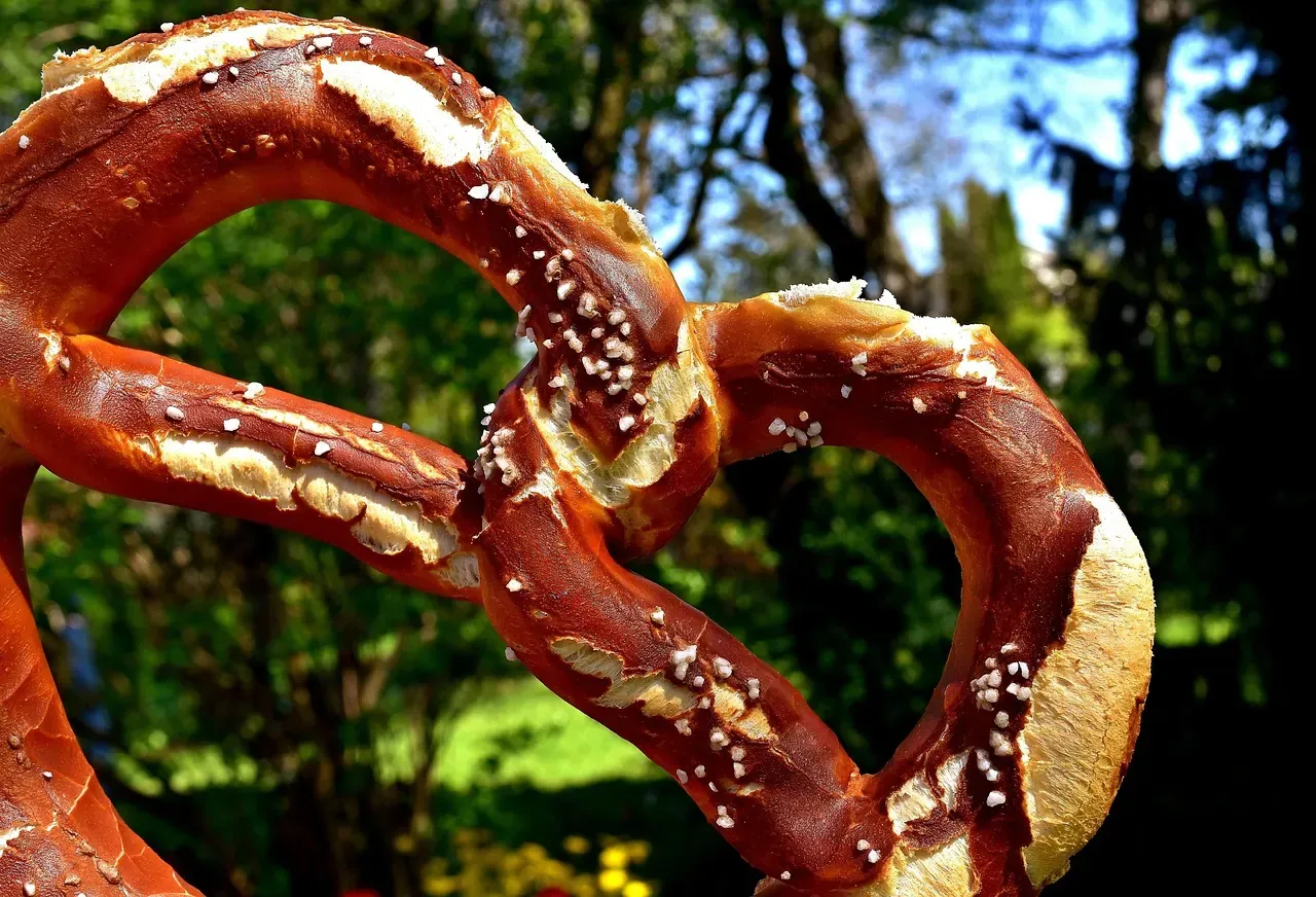 Two salted laugenbrezel pretzels