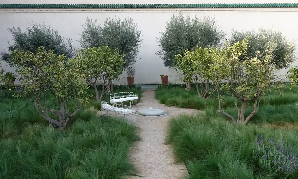 The exotic garden with olive trees and benches at Le Jardin Secret in Marrakech